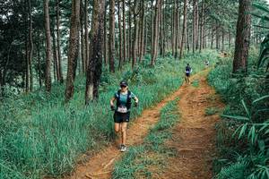 BIB: 
                            <button type="button" onclick="openModal(25654845)" class="btn btn-primary btn-sm float-right btn-popup" data-toggle="modal" data-target=".modal-high-quality">
                        <i class="fas fa-shopping-cart"></i> Add to Cart
                    </button>
                                            <button type="button" onclick="isThisMe(25654845, true)" class="btn btn-success btn-sm float-right btn-popup btn-isme hidden" data-toggle="tooltip" data-placement="bottom" title="นี่คือรูปของคุณใช่ไหม คลิกที่นี่เพื่อเอาเข้าอัลบั้ม">
                        <i class="fas fa-plus"></i> Add to album
                    </button>
                    <button type="button" onclick="isThisMe(25654845, false)" class="btn btn-warning btn-sm float-right btn-popup btn-isnotme hidden">
                        <i class="fas fa-ban"></i> Remove from album
                    </button>